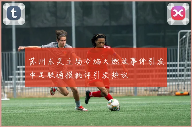 苏州东吴主场冷焰火燃放事件引发中足联通报批评引发热议
